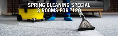 carpet cleaning greensboro nc protech