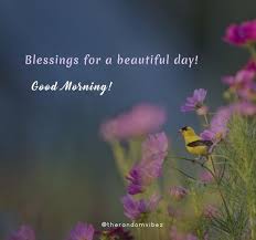 Check spelling or type a new query. 90 Blessed Morning Quotes And Wishes With Images