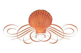 Image result for seashell divider line