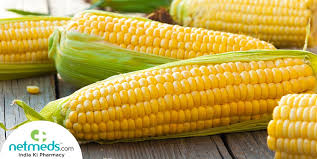 corn maize cholam health benefits