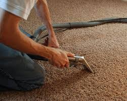 carpet cleaning bushey