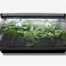 Best Indoor Garden Kits 2023 The