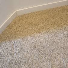 carpet cleaners in greeley co