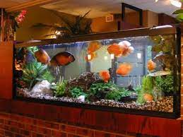 Kerala Home Aquarium Design gambar png