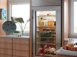 glass door fridges with pros and cons