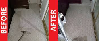 hillsboro absolute carpet cleaning