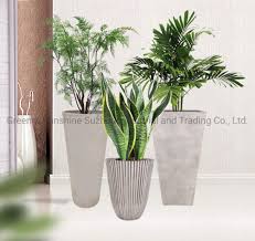 China Flower Pot And Plant Pot