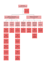 Organizational Chart Centre For Corporate Communications