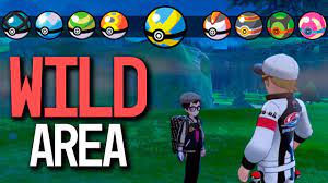 HOW TO GET ALL Poke Ball Types in Wild Area in Pokémon Sword and Shield -  YouTube