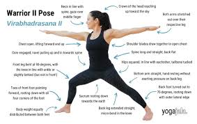 does yoga build muscle yes here s how