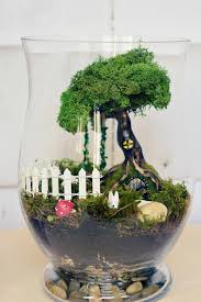 Terrarium Kit Fairy Gardens Miniature