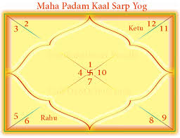 types of kaal sarp dosh call