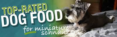 Best Dog Food For Miniature Schnauzers Puppies Adults