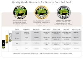 Cattle Quality Grades