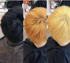 Try it now by clicking black hair bleach and let us have the chance to serve your needs. Can I Use 40 Volume Developer On Dark Hair Is It Dangerous