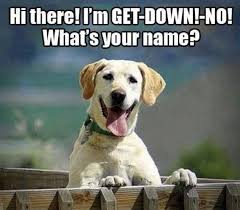 name for your pup