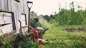 Great Tips To Start A Community Garden