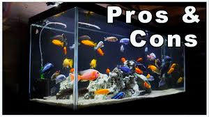 75 gallon aquarium pros and cons so
