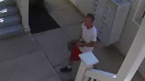 So far i'm very pleased! Video Thief Caught On Camera Stealing From Victorian Village Garages Porch
