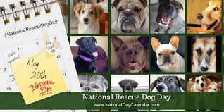 Veterans day is one of the eleven federal holidays in the united states for federal organizations and is a public holiday for all 50 states. National Rescue Dog Day May 20 National Day Calendar