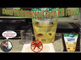 can diatomaceous earth treat fleas