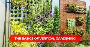 Vertical Gardening Kerala A Guide To