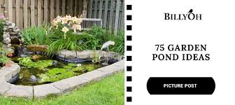 75 best garden pond ideas from all over