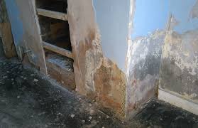How To Fix A Damp Chimney T
