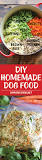 What should you put in homemade dog food?