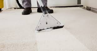 Commercial Carpet Cleaning Toronto - Toronto Steam N' Clean