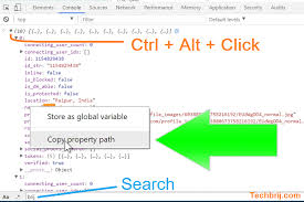 Chrome Developer Tools: Inspect JSON path and extract data quickly -  TechBrij