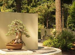 pacific bonsai museum federal way wa