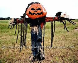 coolest pumpkin patch scarecrow costume