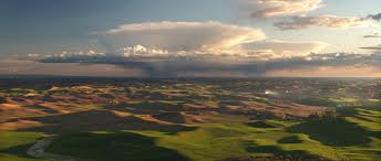 Things to do in Palouse, California