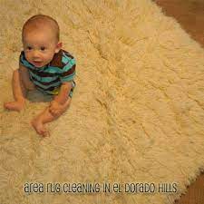 el dorado hills area rug cleaning