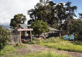 A Campus Community Garden Growing Food