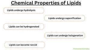 what are lipids structure properties