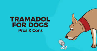 Tramadol For Dogs Pros Cons Simple Wag