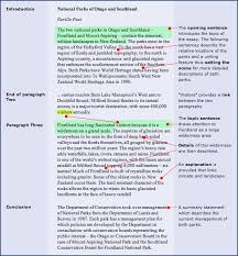 Introductory paragraph essay example