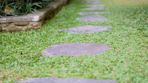 stepping stones for your garden path