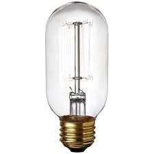 Edison Style 40 Watt T14 Clear Light Bulb 3f789 Lamps Plus