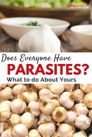 garlic for a parasite cleanse