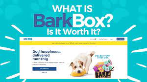 what is barkbox are barkbox worth it
