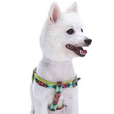 Blueberry Pet Step In Extravagant Green Vintage Tribal Pattern Neoprene Padded Dog Harness S M