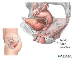 stress urinary incontinence