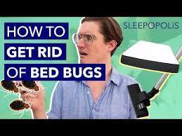 how to get rid of bed bugs in 3 easy