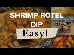 easy shrimp rotel dip recipe you