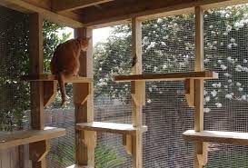 The Summer Play Space Your Cat Needs