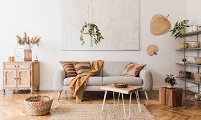6 living room indoor plants ideas