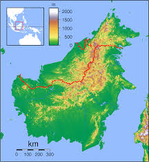 Borneo Wikipedia